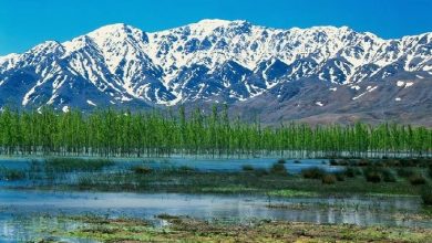 از طایفه تا انسان؛ وحدت بختیاری و ساختن آینده‌ای آگاهانه