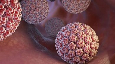 چگونه ویروس‌ها با خاموش کردن سیستم ایمنی باعث سرطان می‌شوند؟ نقش متیلاسیون DNA و اپی‌ژنتیک