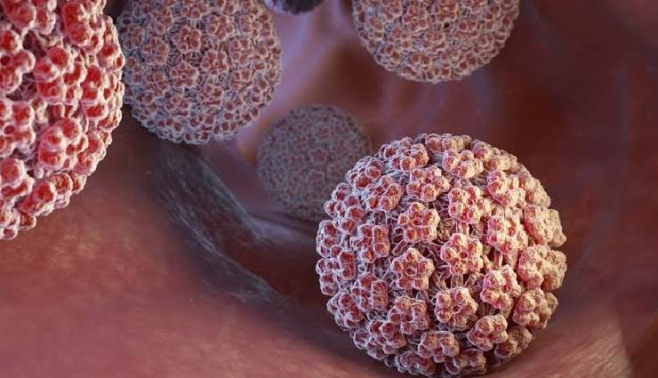 چگونه ویروس‌ها با خاموش کردن سیستم ایمنی باعث سرطان می‌شوند؟ نقش متیلاسیون DNA و اپی‌ژنتیک