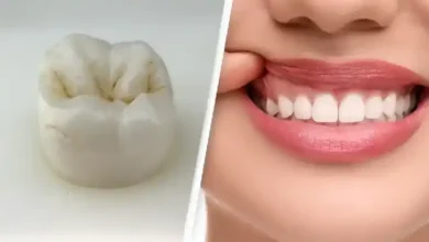 داروی جدید برای رشد مجدد دندان؛ آیا دندان دوباره درمی‌آید؟
